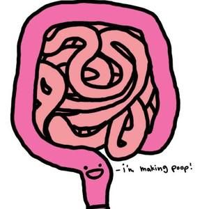 Meet your Posher, Janey